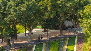 The specially designed floral carpet at Tai Po Waterfront Park has undergone a facelift, and provides a pleasant, aesthetic effect to the park. Footpaths amongst the strips of flowers and open corners are provided to allow visitors to take photos of the floral arrangement.